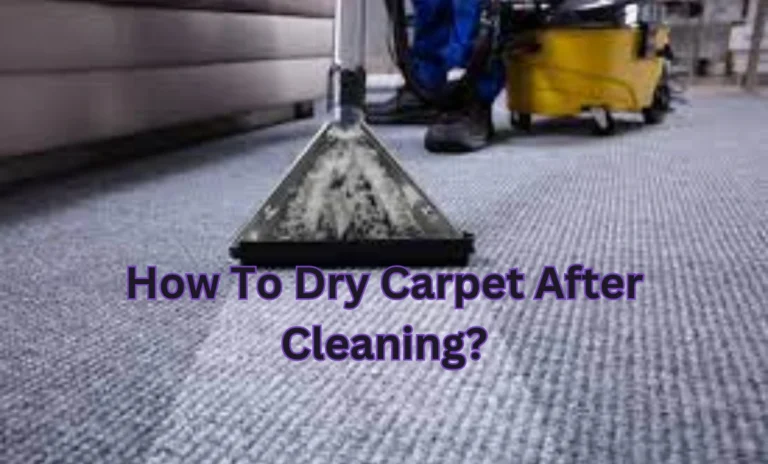 How To Dry Carpet After Cleaning?