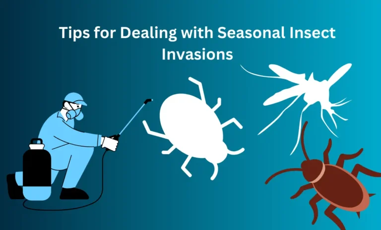 Tips for Dealing with Seasonal Insect Invasions
