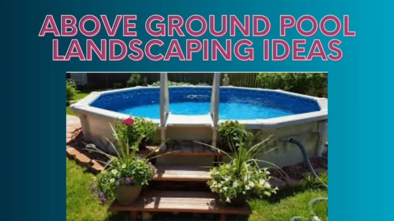 Above Ground Pool Landscaping Ideas:  Level up Your Backyard