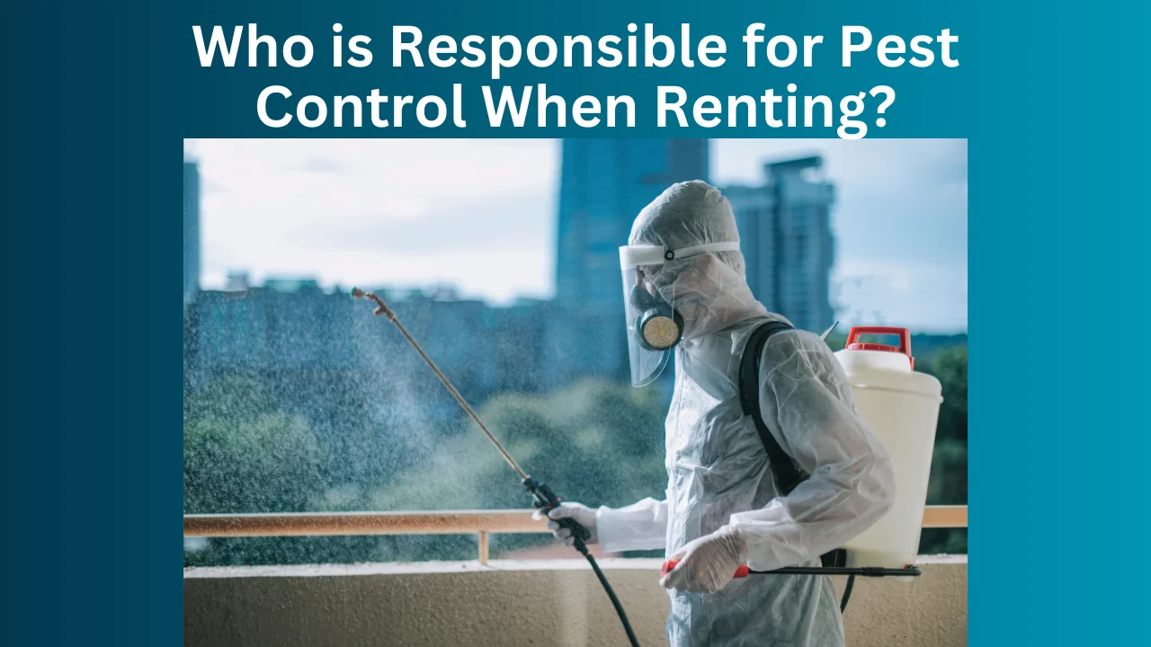 Who Is Responsible For Pest Control When Renting?