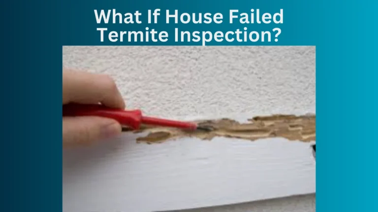 What If House Failed Termite Inspection?