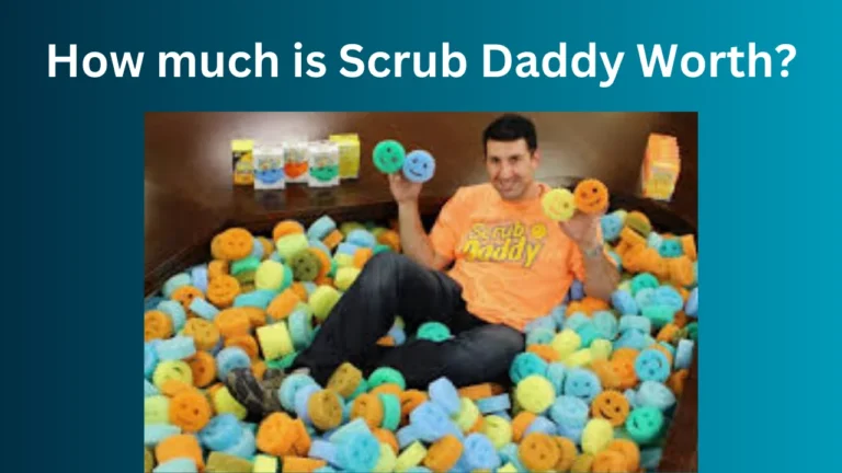 How much is Scrub Daddy Worth?