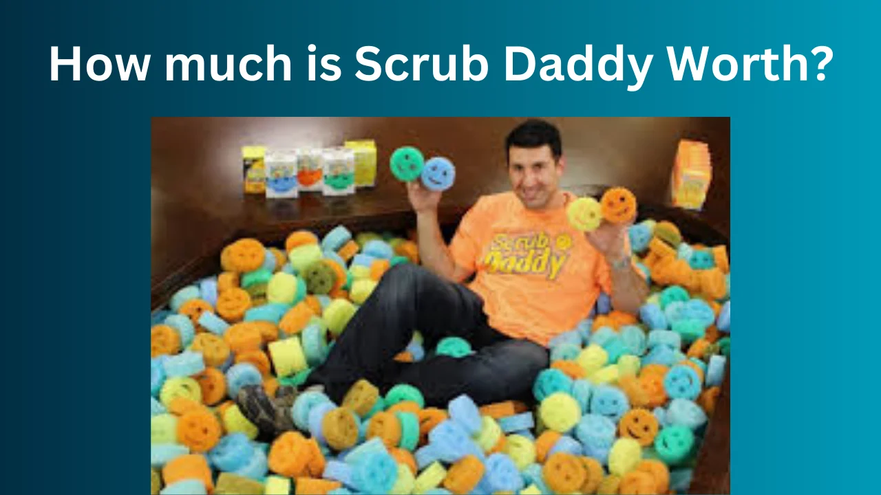 How Much Is Scrub Daddy Worth?