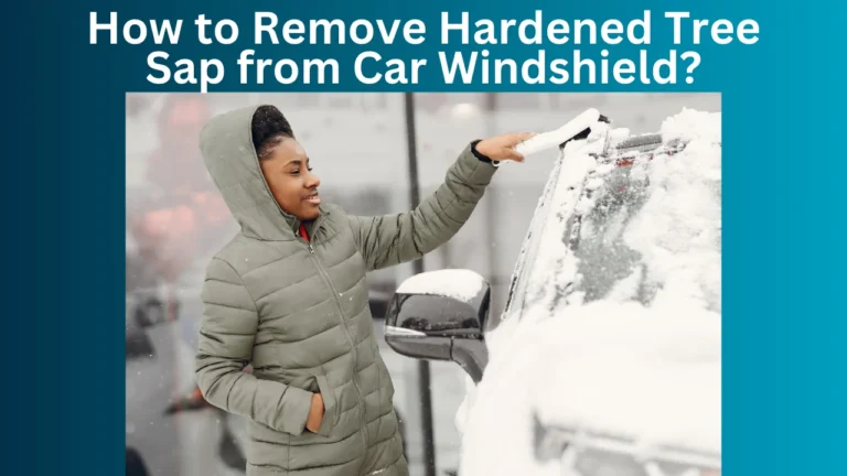 How to Remove Hardened Tree Sap from Car Windshield?