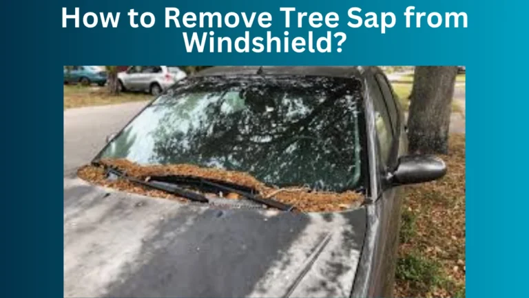 How to Remove Tree Sap from Windshield?