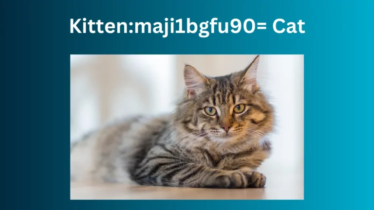Kittenmaji1bgfu90= Cat