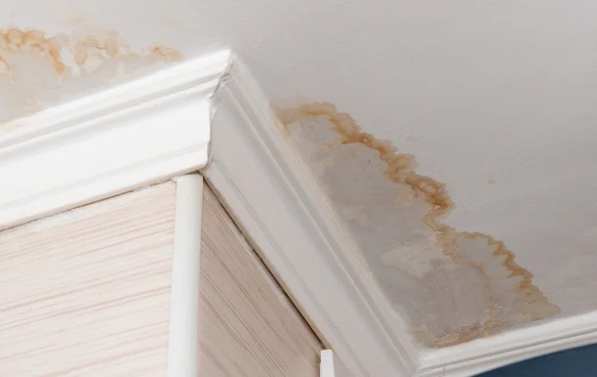 How to Respond to Water Damage in the First 24 Hours