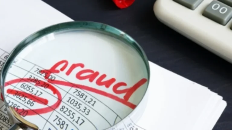 tax fraud