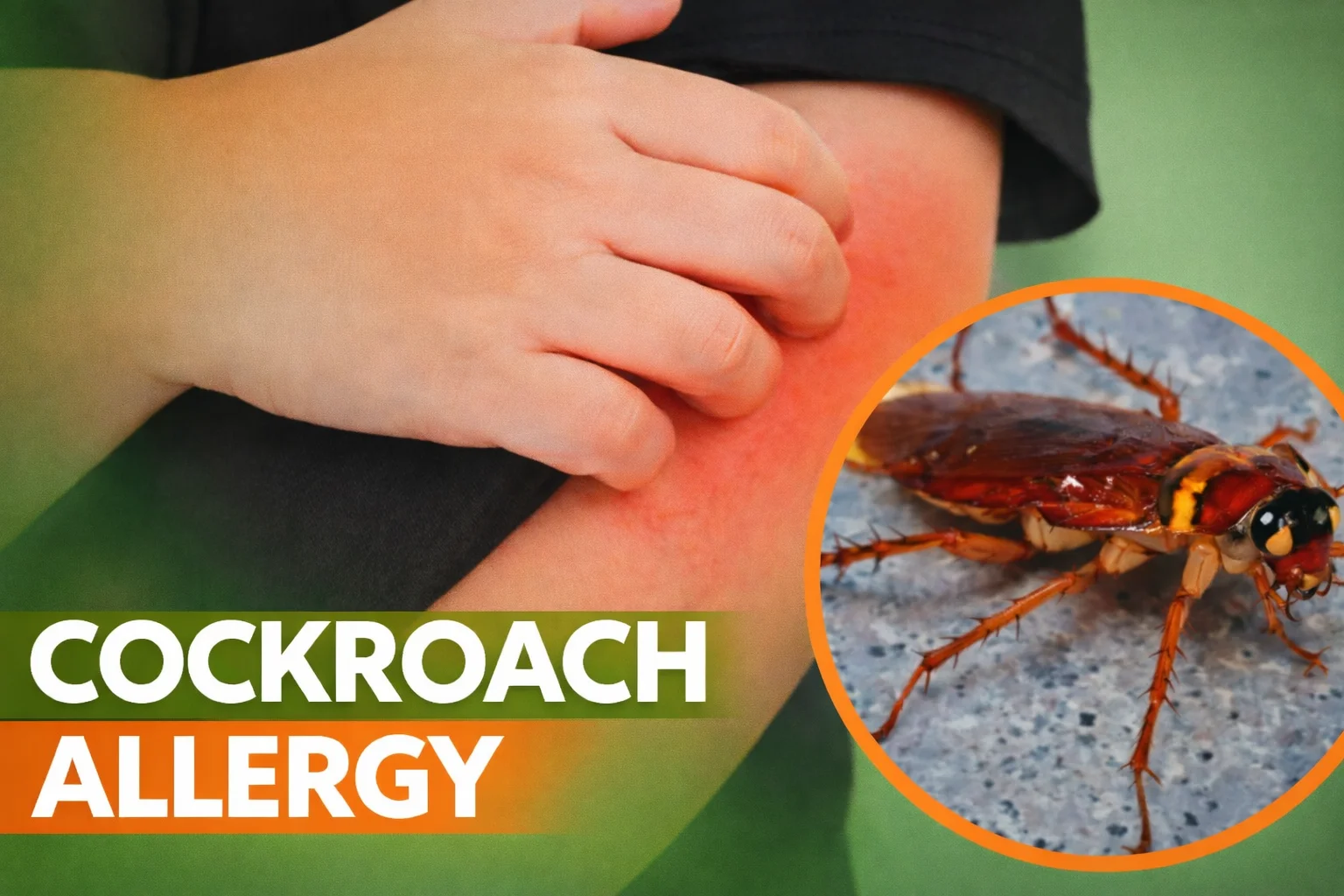 child-allergic-cockroaches-fast-removal